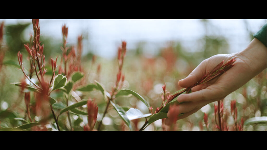 Film publicitaire cinéma réalisé à Gennes sur Seiche